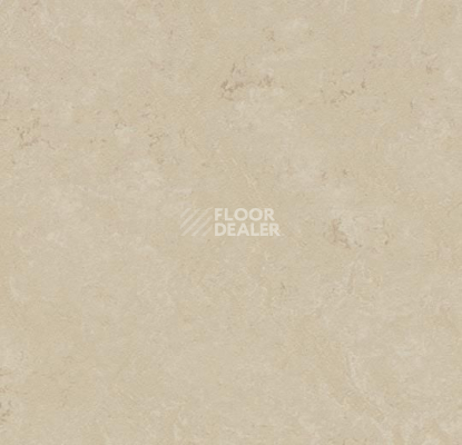 Кварцвиниловые полы Marmoleum Modular t3711 cloudy sand фото 1 | FLOORDEALER